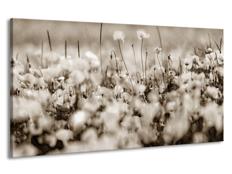 Canvas Schilderij Bloemen | Sepia | 190x100cm 1Luik