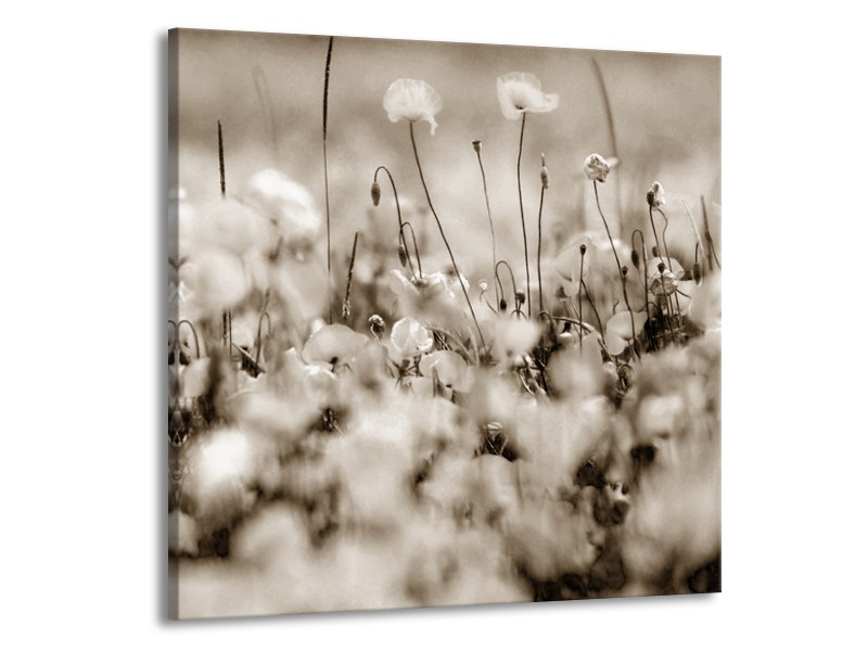 Glasschilderij Bloemen | Sepia | 70x70cm 1Luik