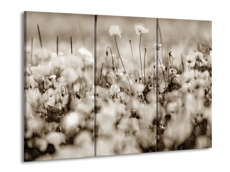 Glasschilderij Bloemen | Sepia | 60x90cm 3Luik