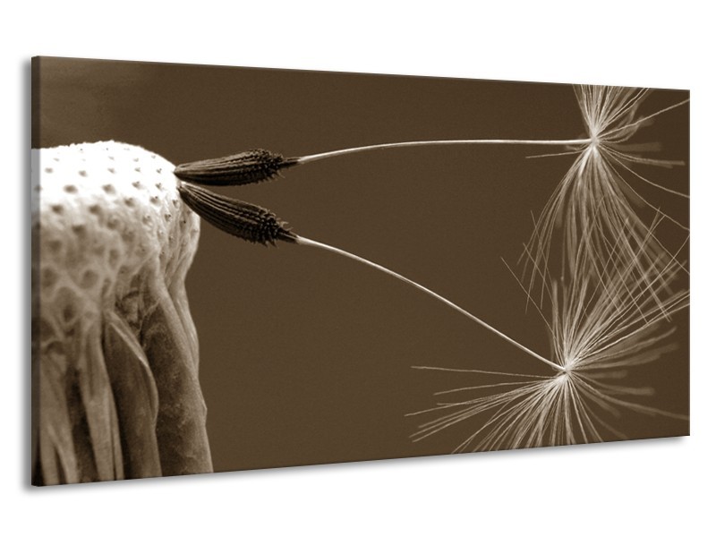 Canvas Schilderij Bloem | Bruin, Sepia | 190x100cm 1Luik