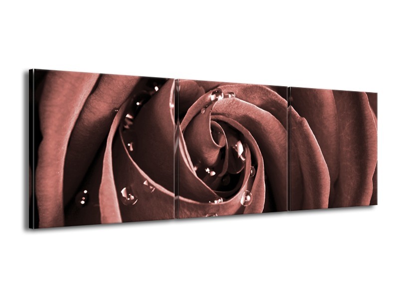 Canvas Schilderij Roos | Bruin, Rood | 150x50cm 3Luik