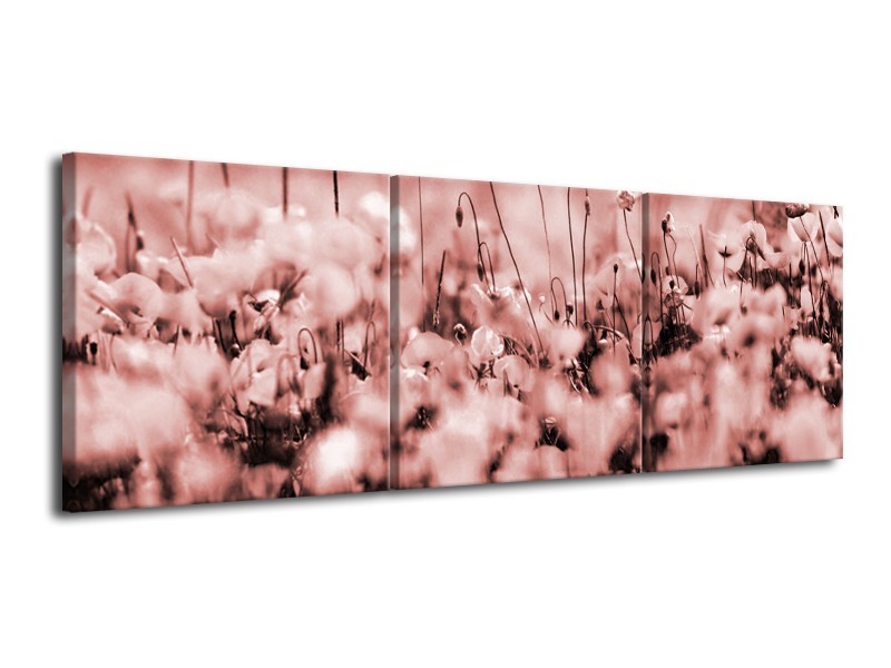 Canvas Schilderij Bloemen | Bruin, Rood | 120x40cm 3Luik