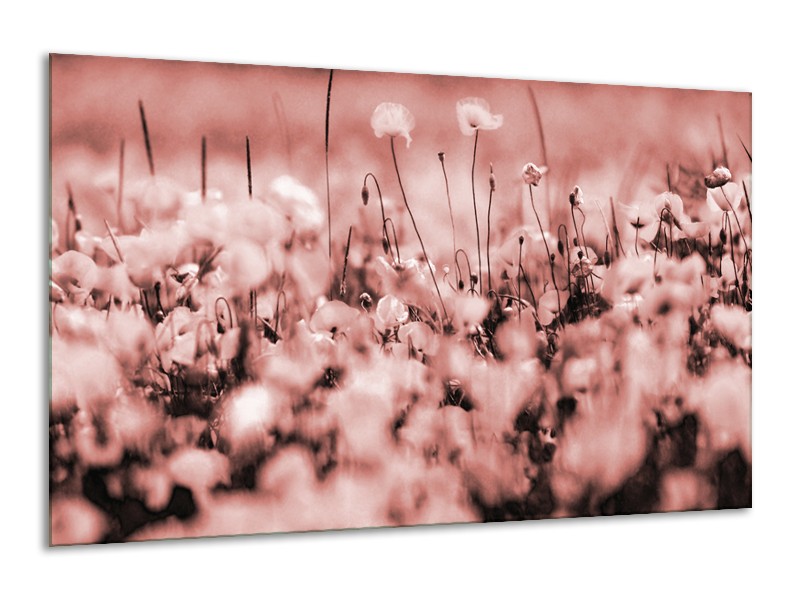 Glasschilderij Bloemen | Bruin, Rood | 120x70cm 1Luik