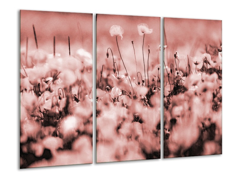 Canvas Schilderij Bloemen | Bruin, Rood | 120x80cm 3Luik