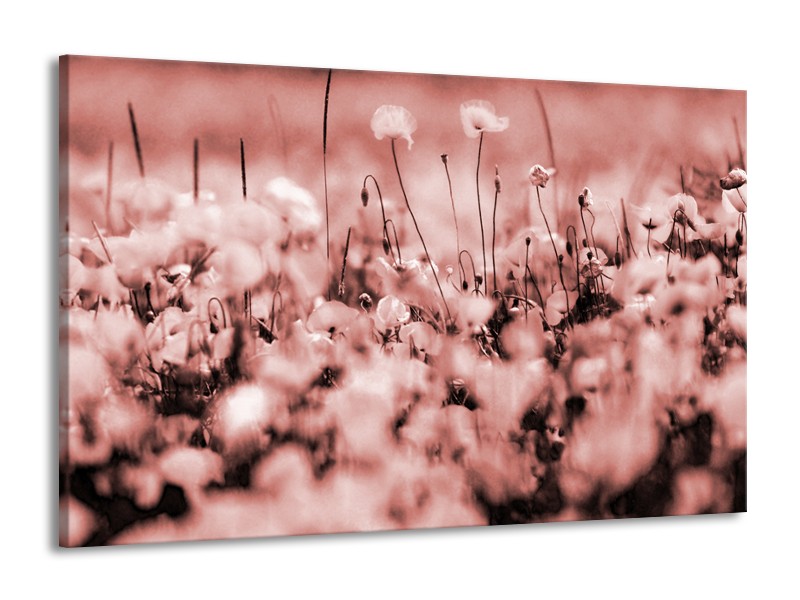 Canvas Schilderij Bloemen | Bruin, Rood | 140x90cm 1Luik