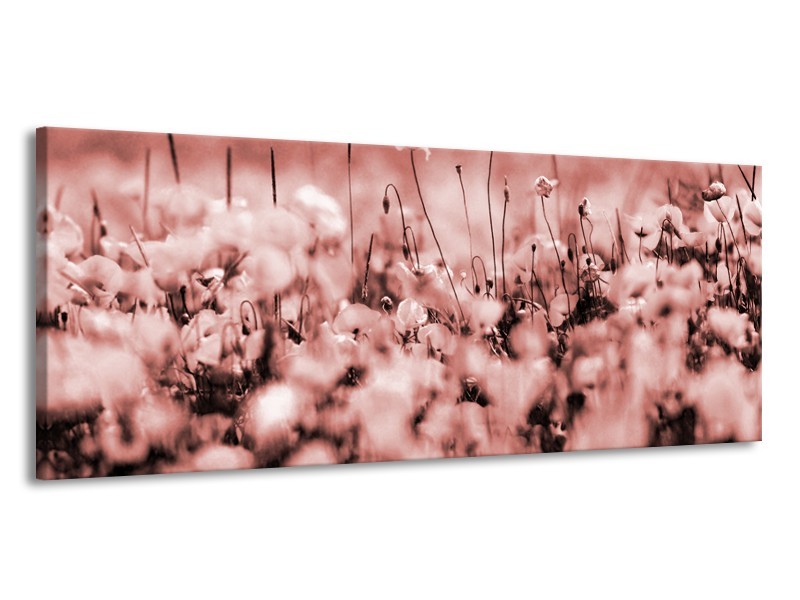 Glasschilderij Bloemen | Bruin, Rood | 145x58cm 1Luik