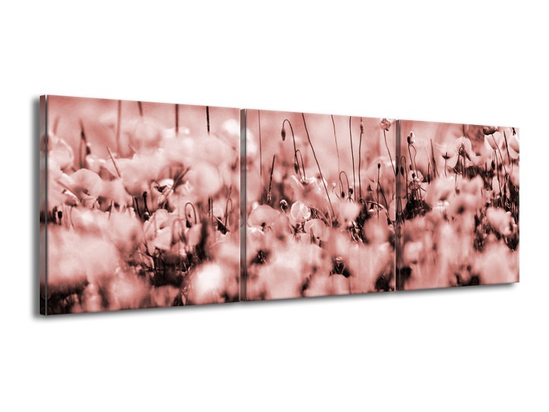 Glasschilderij Bloemen | Bruin, Rood | 150x50cm 3Luik