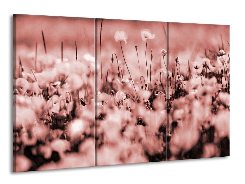 Canvas Schilderij Bloemen | Bruin, Rood | 165x100cm 3Luik