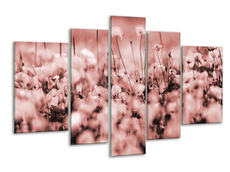 Glasschilderij Bloemen | Bruin, Rood | 170x100cm 5Luik