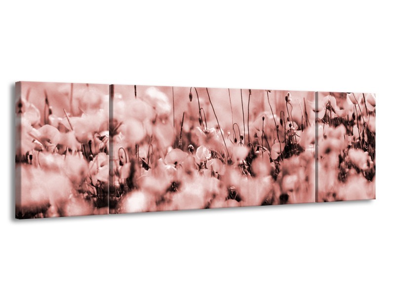 Glasschilderij Bloemen | Bruin, Rood | 170x50cm 3Luik