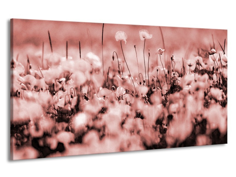 Canvas Schilderij Bloemen | Bruin, Rood | 190x100cm 1Luik