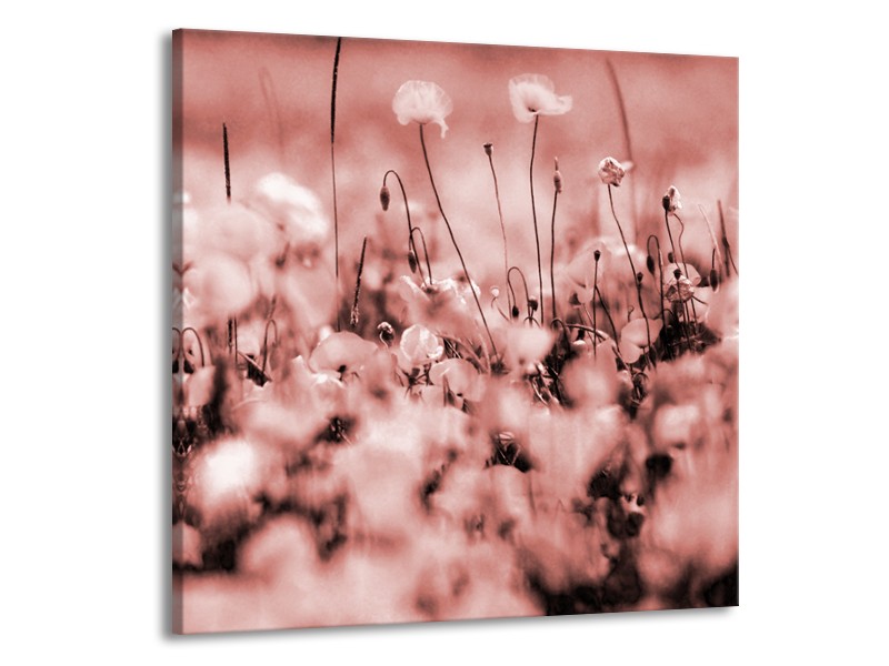 Canvas Schilderij Bloemen | Bruin, Rood | 70x70cm 1Luik