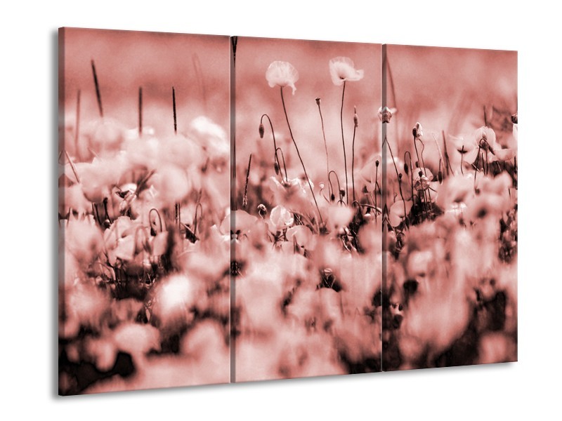 Glasschilderij Bloemen | Bruin, Rood | 60x90cm 3Luik