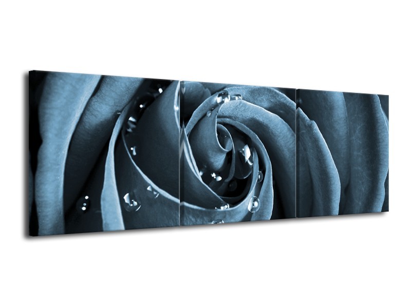 Canvas Schilderij Roos | Blauw, Grijs | 120x40cm 3Luik