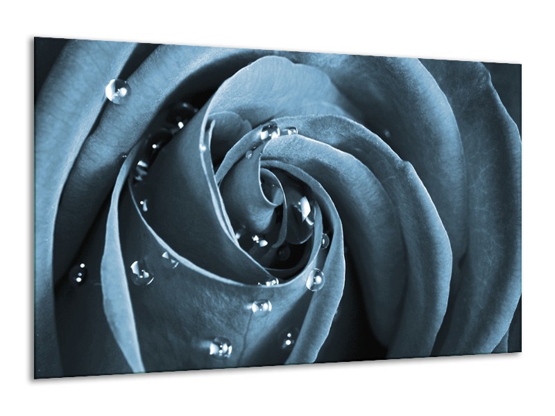 Canvas Schilderij Roos | Blauw, Grijs | 120x70cm 1Luik