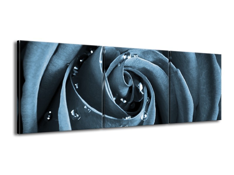 Canvas Schilderij Roos | Blauw, Grijs | 150x50cm 3Luik