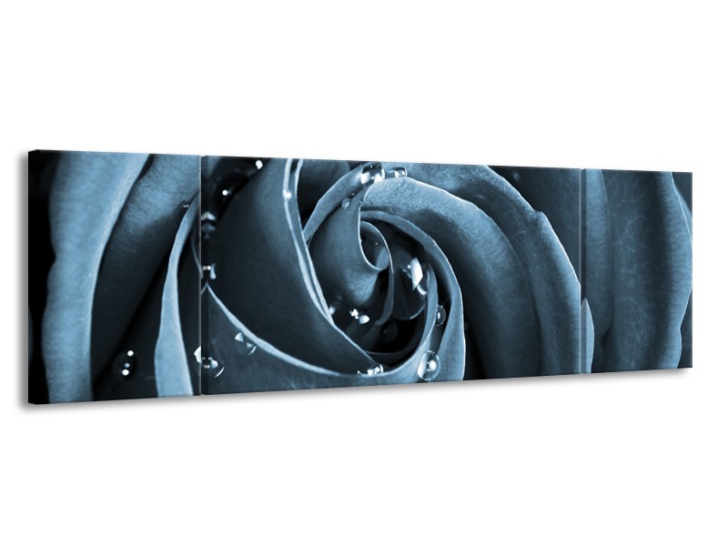 Canvas Schilderij Roos | Blauw, Grijs | 170x50cm 3Luik