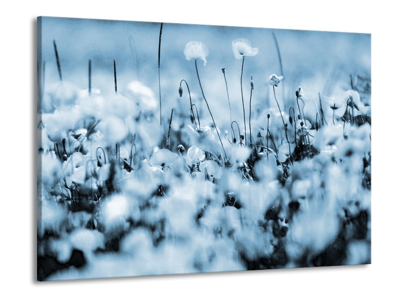 Glasschilderij Bloemen | Blauw, Grijs | 100x70cm 1Luik