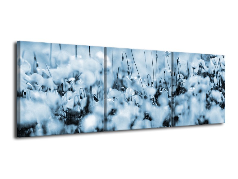 Glasschilderij Bloemen | Blauw, Grijs | 120x40cm 3Luik