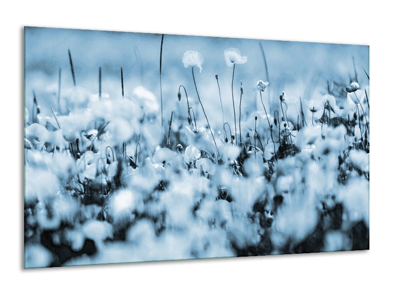 Canvas Schilderij Bloemen | Blauw, Grijs | 120x70cm 1Luik