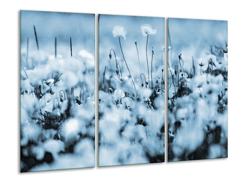 Glasschilderij Bloemen | Blauw, Grijs | 120x80cm 3Luik