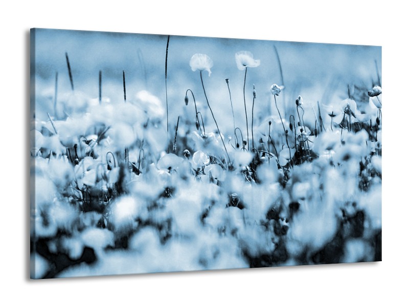 Glasschilderij Bloemen | Blauw, Grijs | 140x90cm 1Luik