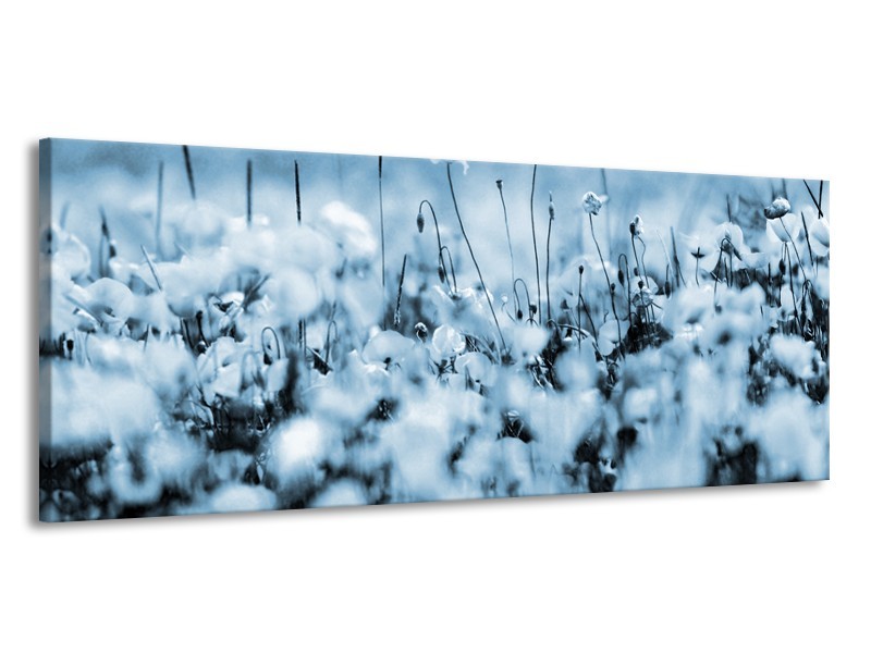 Canvas Schilderij Bloemen | Blauw, Grijs | 145x58cm 1Luik