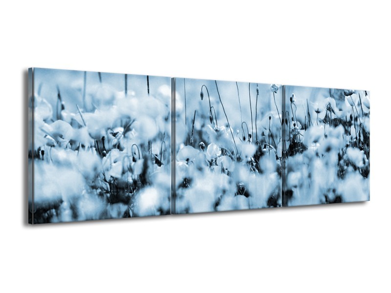 Canvas Schilderij Bloemen | Blauw, Grijs | 150x50cm 3Luik