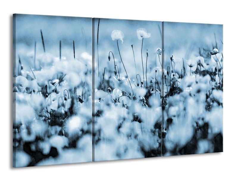 Glasschilderij Bloemen | Blauw, Grijs | 165x100cm 3Luik