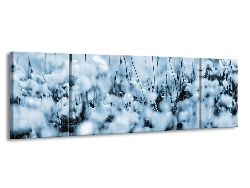 Canvas Schilderij Bloemen | Blauw, Grijs | 170x50cm 3Luik