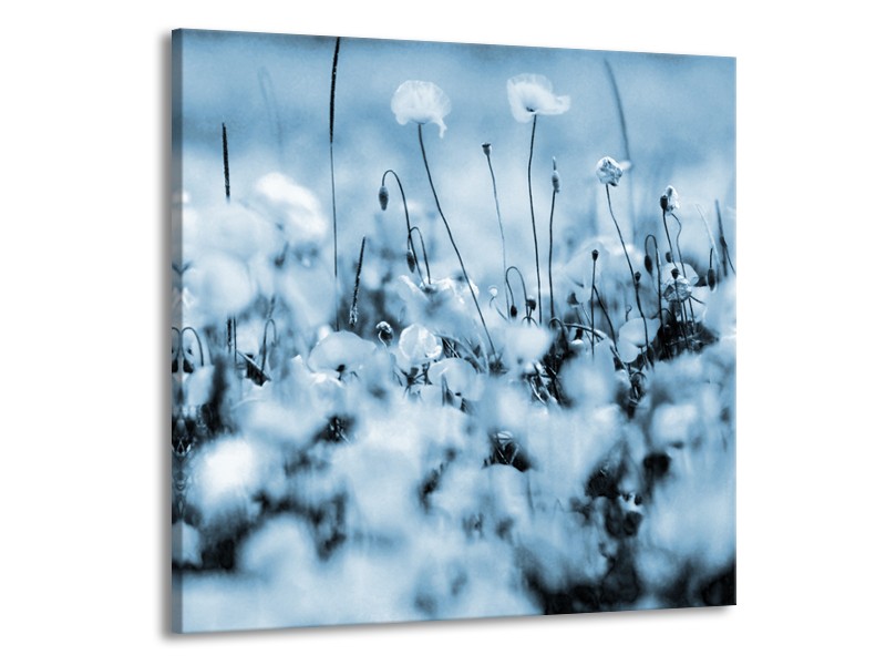 Canvas Schilderij Bloemen | Blauw, Grijs | 70x70cm 1Luik