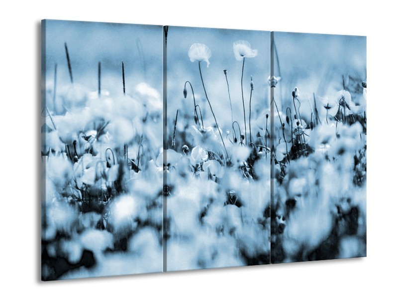 Glasschilderij Bloemen | Blauw, Grijs | 60x90cm 3Luik