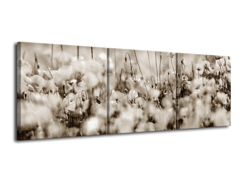 Glasschilderij Bloemen | Sepia | 120x40cm 3Luik