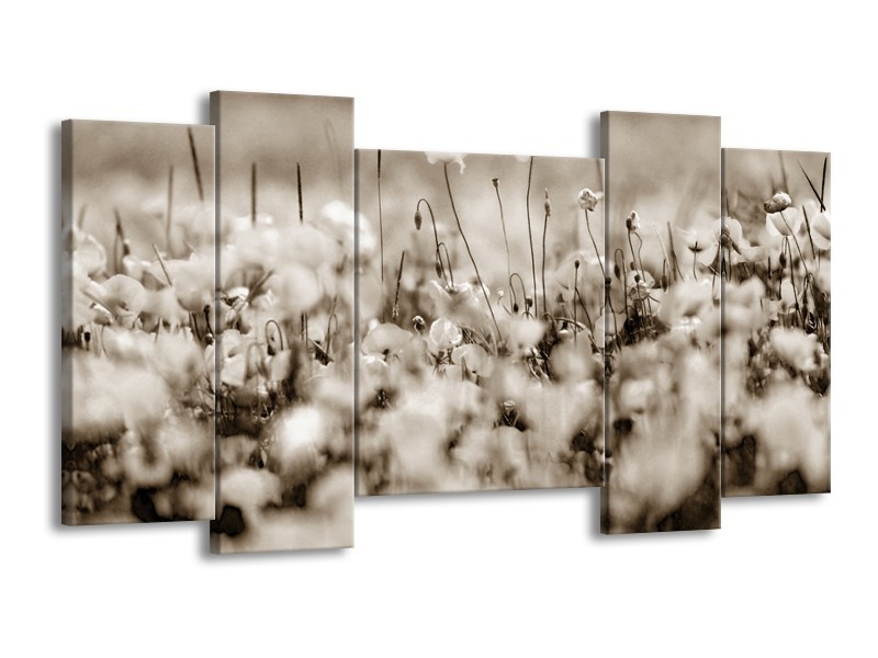 Canvas Schilderij Bloemen | Sepia | 120x65cm 5Luik