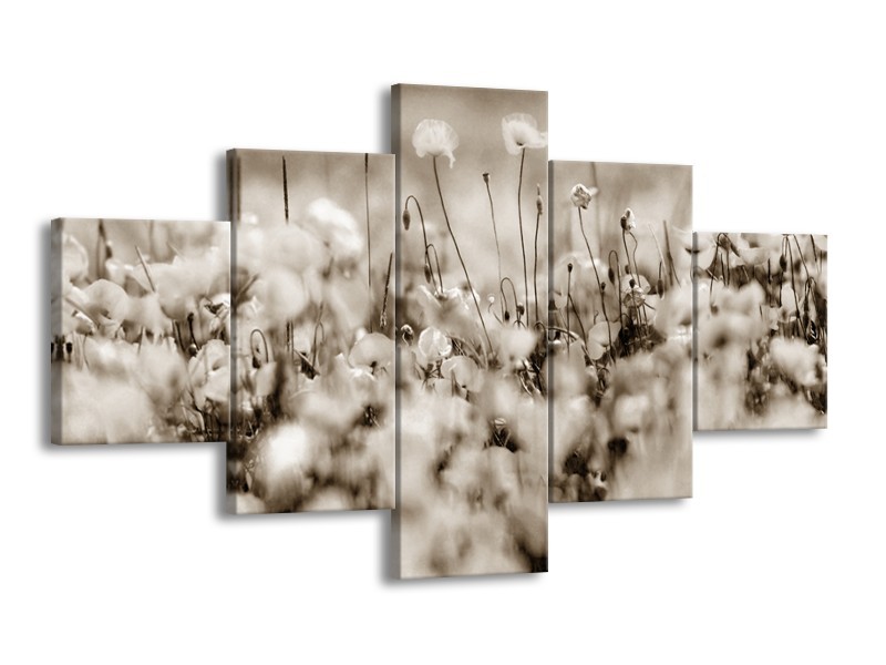 Glasschilderij Bloemen | Sepia | 125x70cm 5Luik