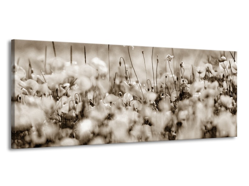 Canvas Schilderij Bloemen | Sepia | 145x58cm 1Luik