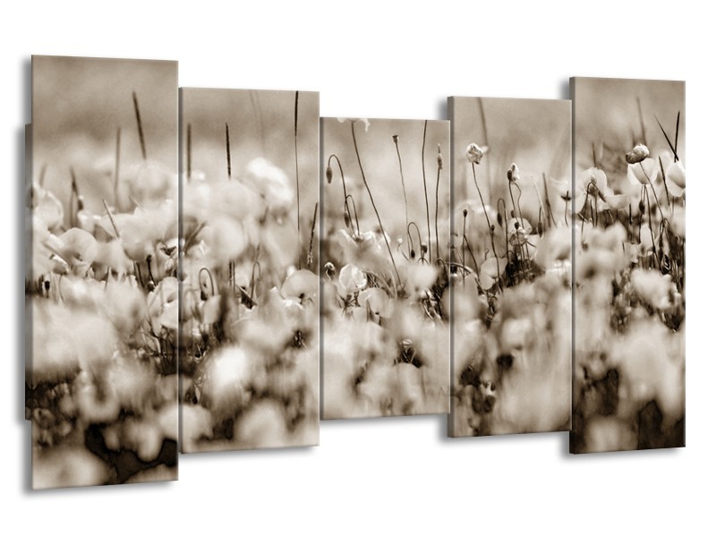 Canvas Schilderij Bloemen | Sepia | 150x80cm 5Luik