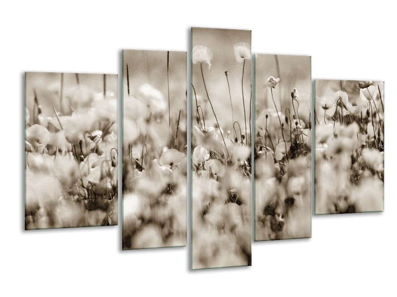 Canvas Schilderij Bloemen | Sepia | 170x100cm 5Luik