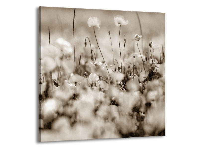 Canvas Schilderij Bloemen | Sepia | 50x50cm 1Luik