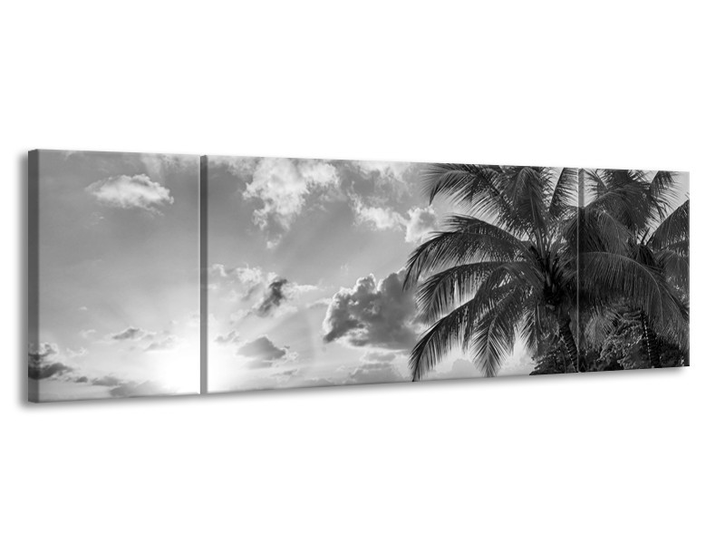 Glasschilderij Zee, Strand | Grijs, Zwart | 170x50cm 3Luik