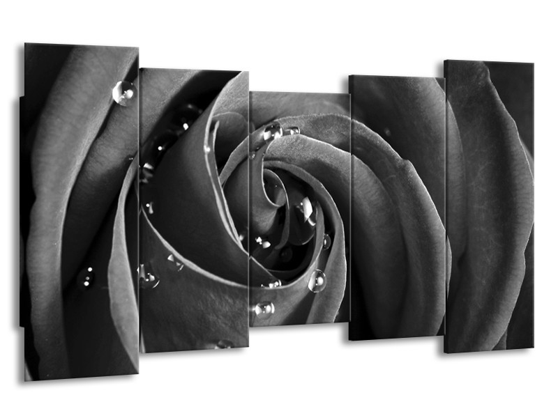 Canvas Schilderij Roos, Bloem | Grijs, Zwart | 150x80cm 5Luik