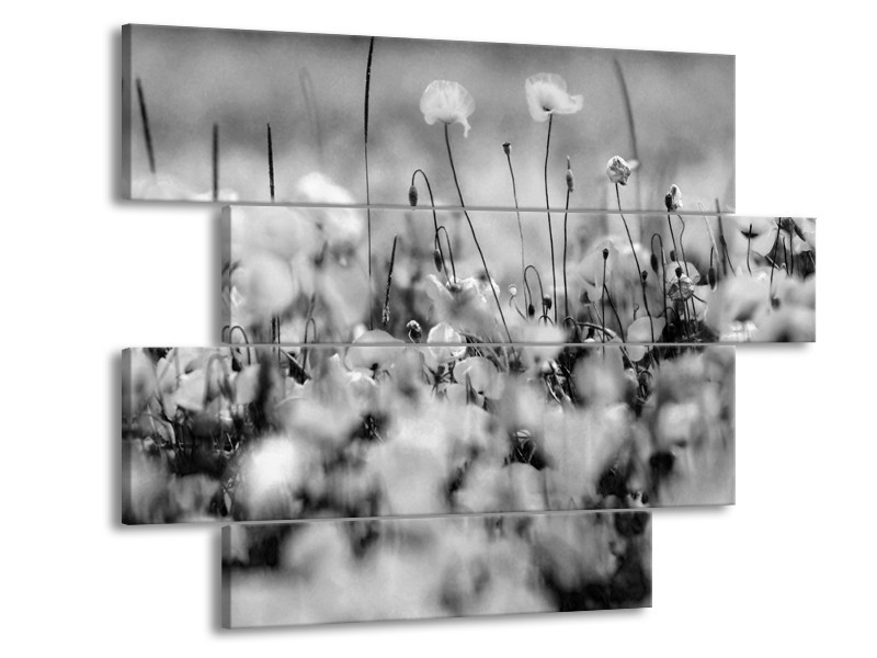 Glasschilderij Bloemen | Grijs, Zwart | 115x85cm 4Luik