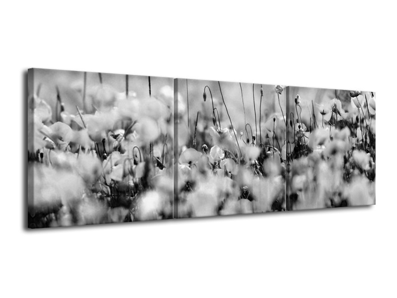 Canvas Schilderij Bloemen | Grijs, Zwart | 120x40cm 3Luik