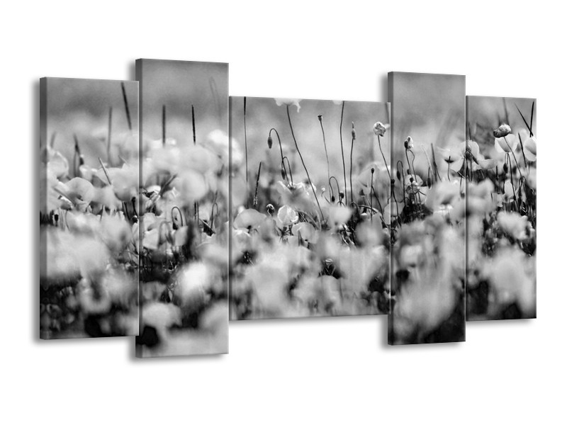 Glasschilderij Bloemen | Grijs, Zwart | 120x65cm 5Luik