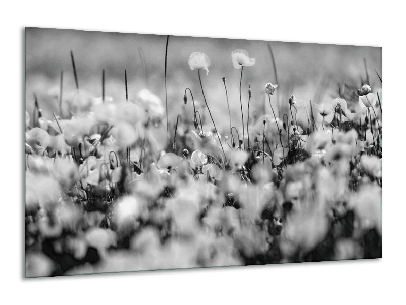 Canvas Schilderij Bloemen | Grijs, Zwart | 120x70cm 1Luik