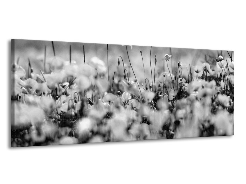 Canvas Schilderij Bloemen | Grijs, Zwart | 145x58cm 1Luik