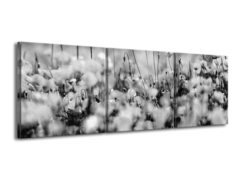 Canvas Schilderij Bloemen | Grijs, Zwart | 150x50cm 3Luik