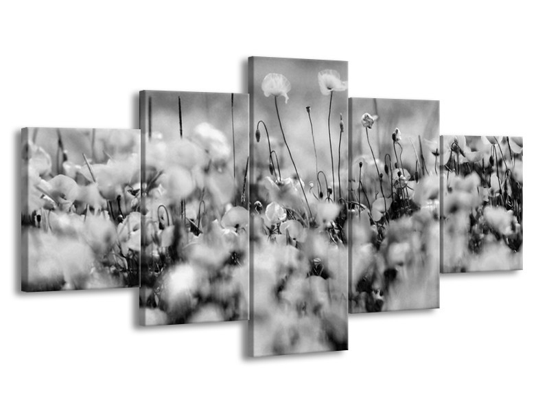 Glasschilderij Bloemen | Grijs, Zwart | 150x80cm 5Luik