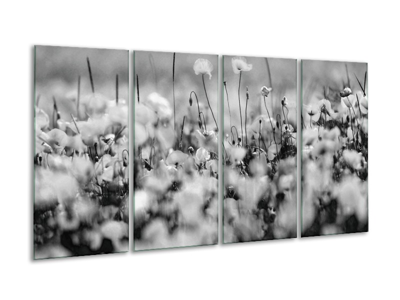 Glasschilderij Bloemen | Grijs, Zwart | 160x80cm 4Luik