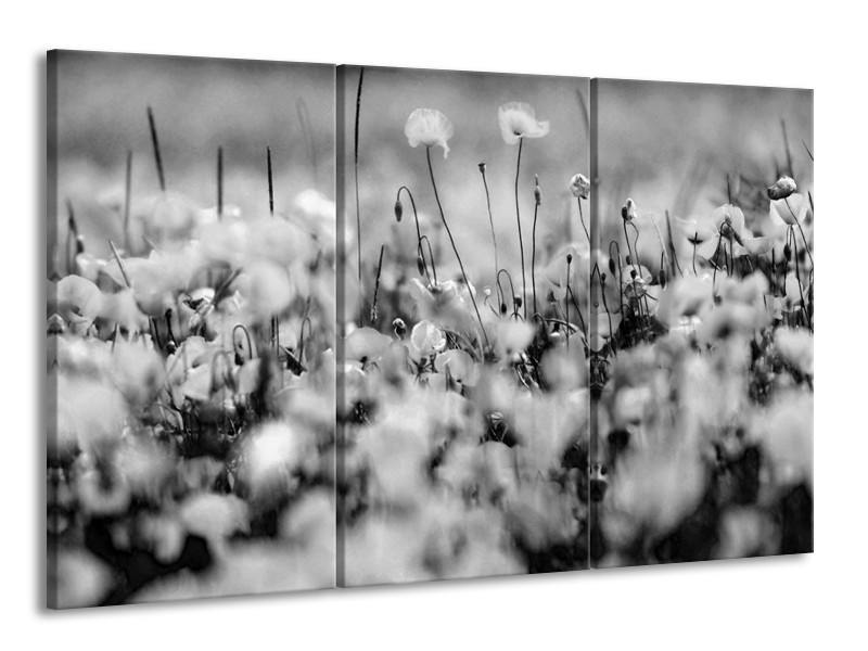 Canvas Schilderij Bloemen | Grijs, Zwart | 165x100cm 3Luik